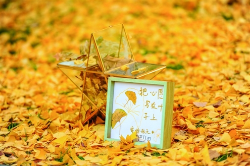 山东师范大学附属中学学子们把心愿写在叶子上